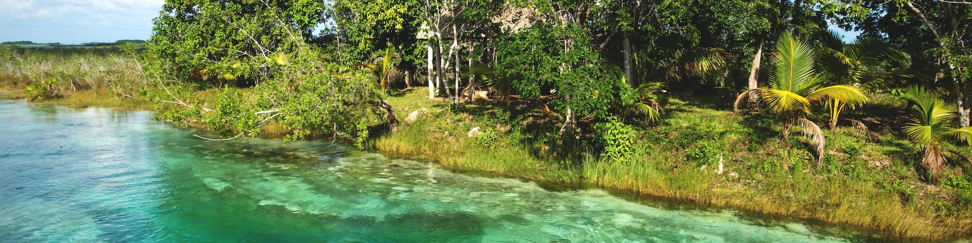 Man in rapids at seven colored lagoon surrounded by tropical plants in Bacalar, Quintana Roo, Mexico