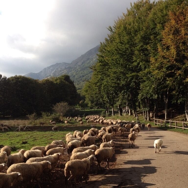 Walking by Lake Matese on a beautiful clear day