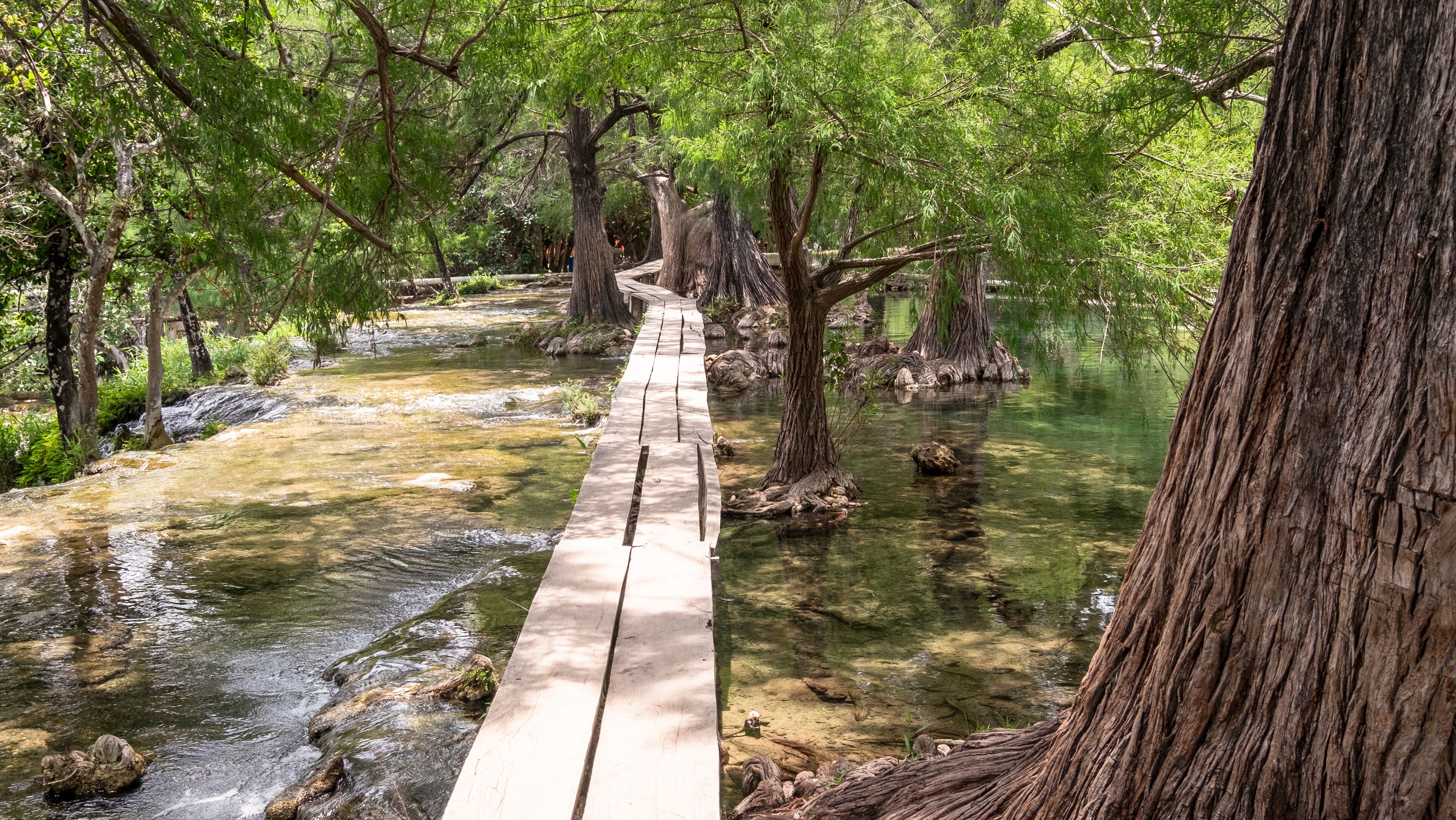 Wooden walk board at Lagos de Colon recreation area, Chiapas, Mexico,