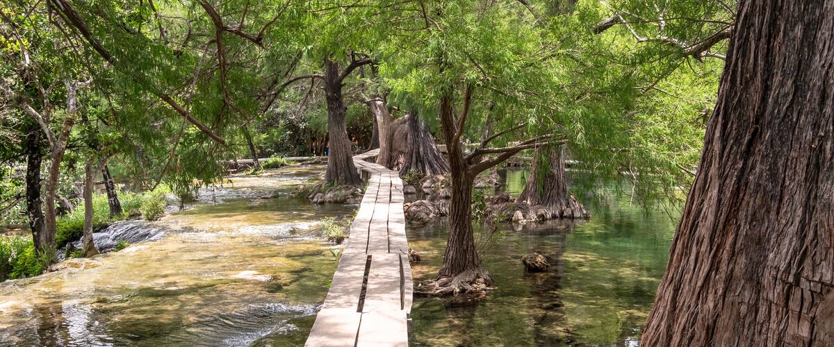 A wooden boardwalk over a clear stream surrounded by trees.
