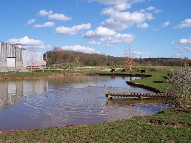Ullingswick Pools. Four pounds per rod per day. Part of Pullen farm.