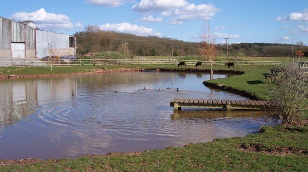 Ullingswick Pools. Four pounds per rod per day. Part of Pullen farm.