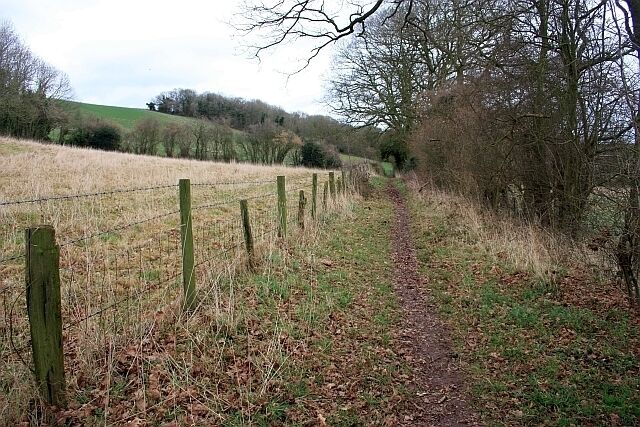 Bridleway to Hundred Bank The two generations of interposed fence posts provides an artistic sheep fence.