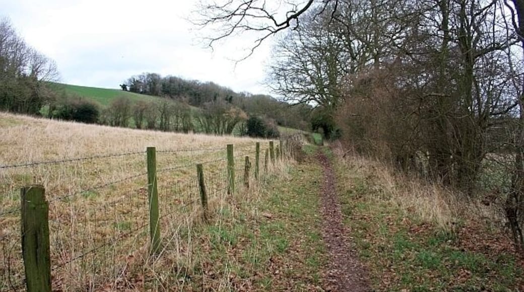 Bridleway to Hundred Bank The two generations of interposed fence posts provides an artistic sheep fence.