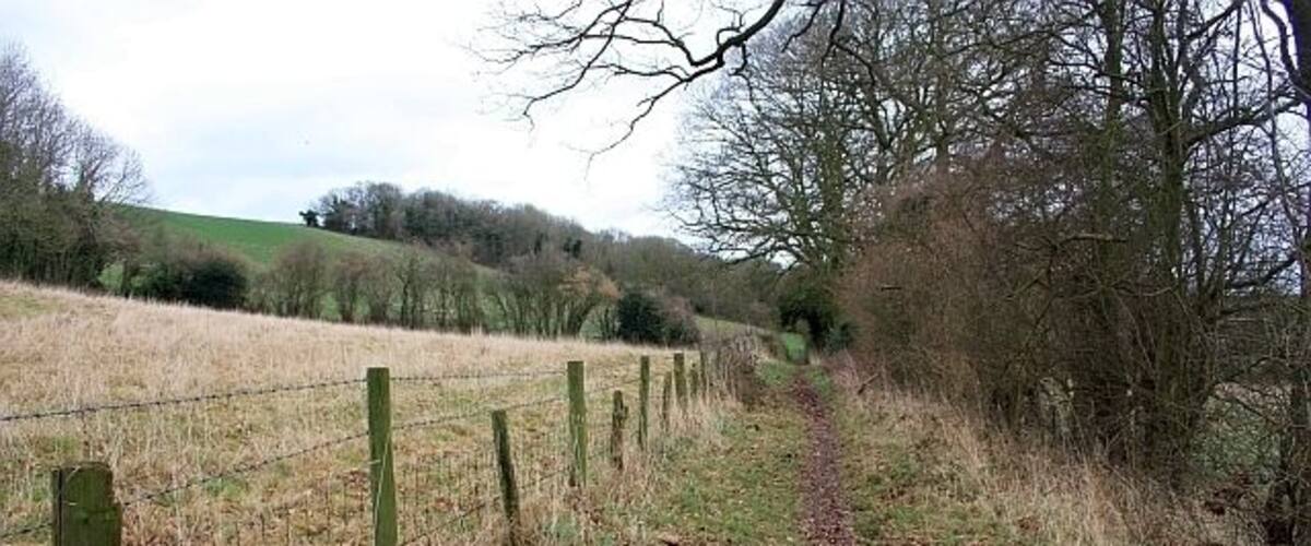 A rural path with a wooden fence and leaf-covered ground.