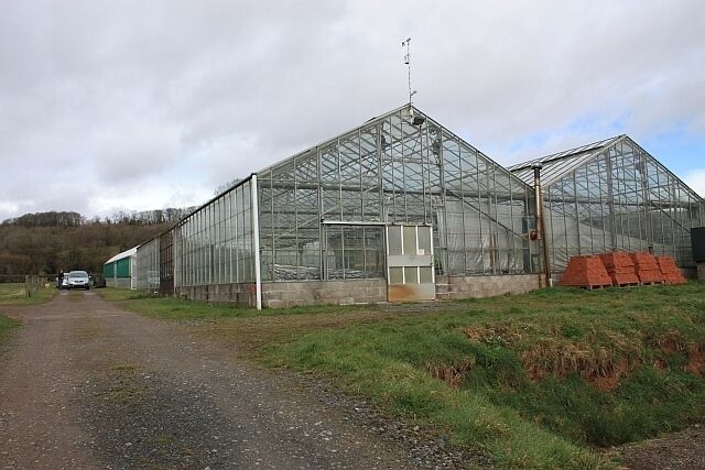 Glasshouses, Linnett farm, Ullingswick. The older glass building is unused, but beyond it (with green sides on the picture) is a modern curved construction full of hellebores. 1199588