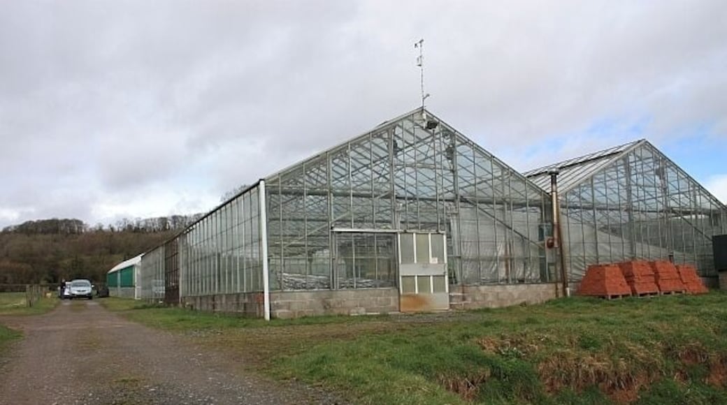 Glasshouses, Linnett farm, Ullingswick. The older glass building is unused, but beyond it (with green sides on the picture) is a modern curved construction full of hellebores. 1199588