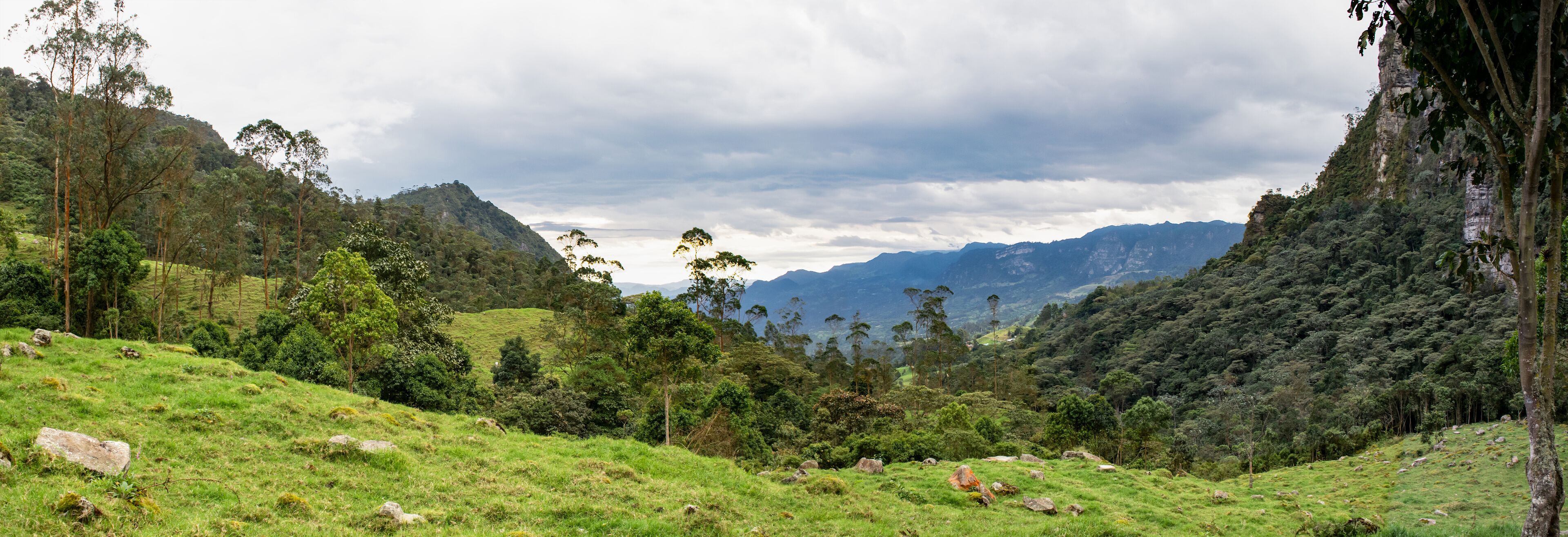 A lush green valley with rolling hills, dense forests, and distant mountains under a cloudy sky.