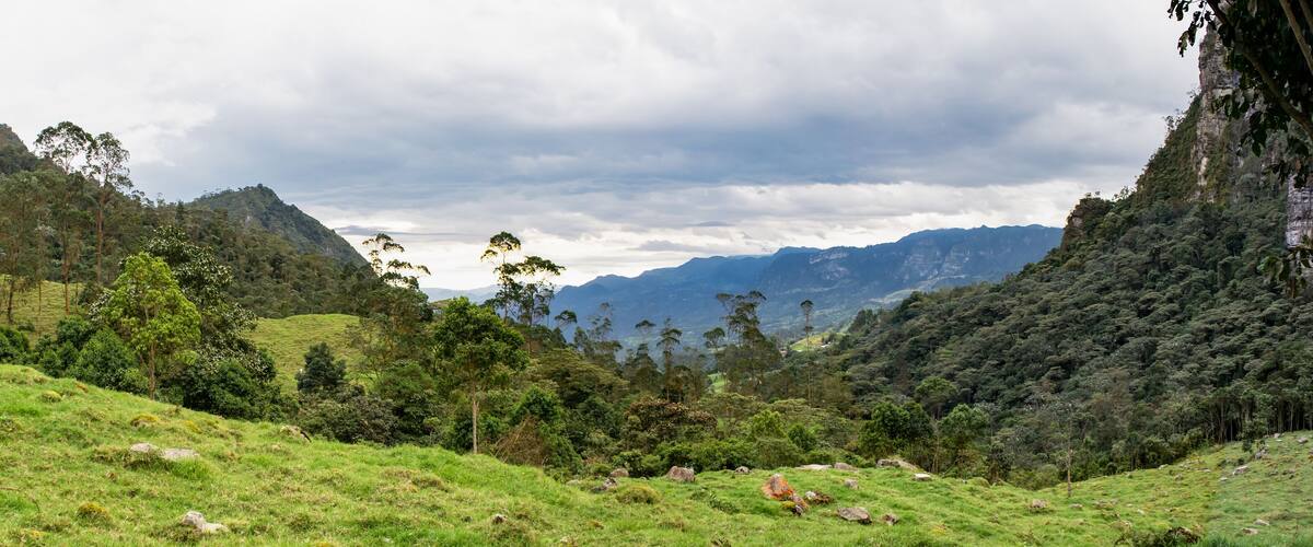A lush green valley with rolling hills, dense forests, and distant mountains under a cloudy sky.