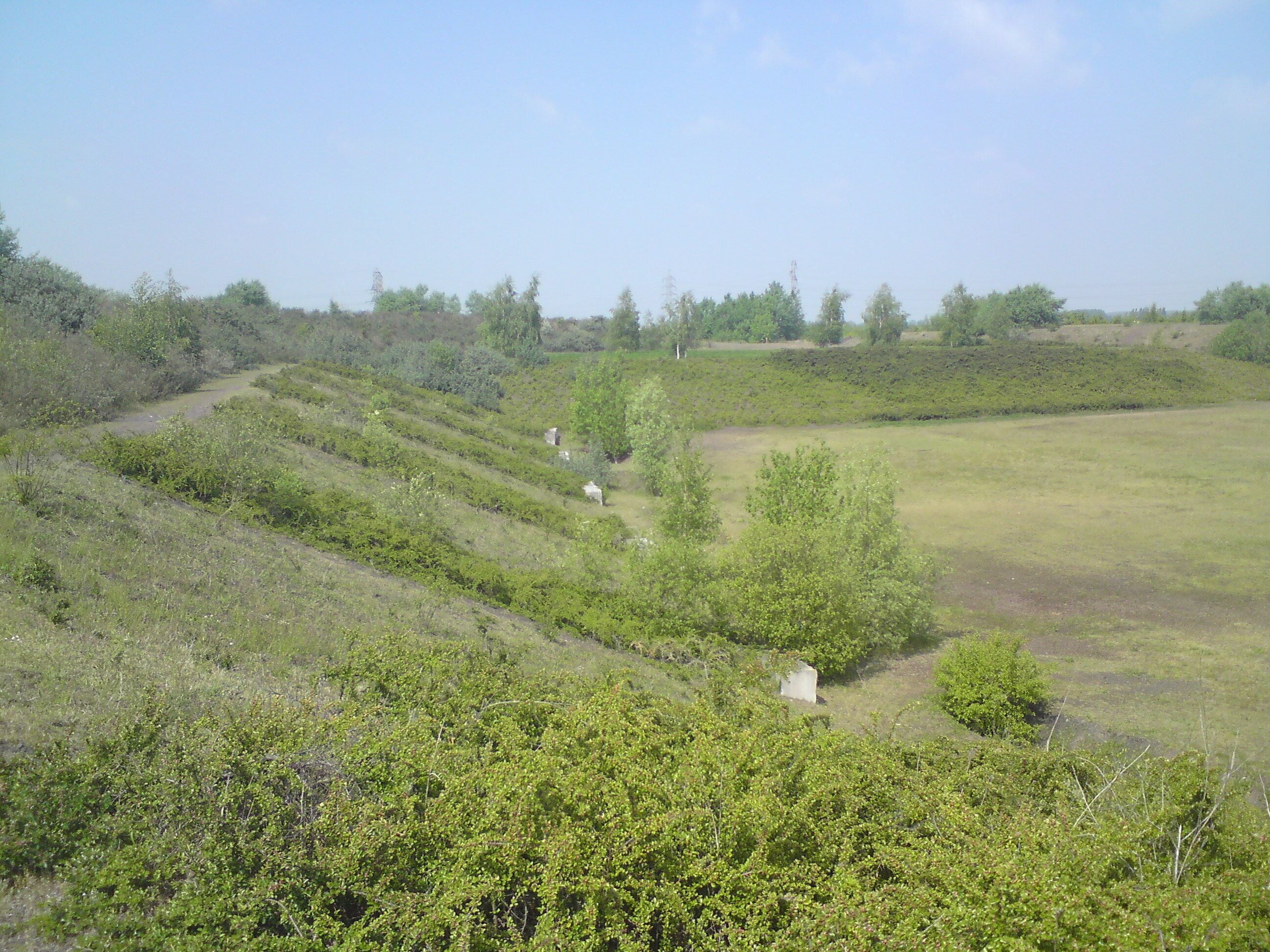 A hilly landscape with terraced fields and scattered trees.