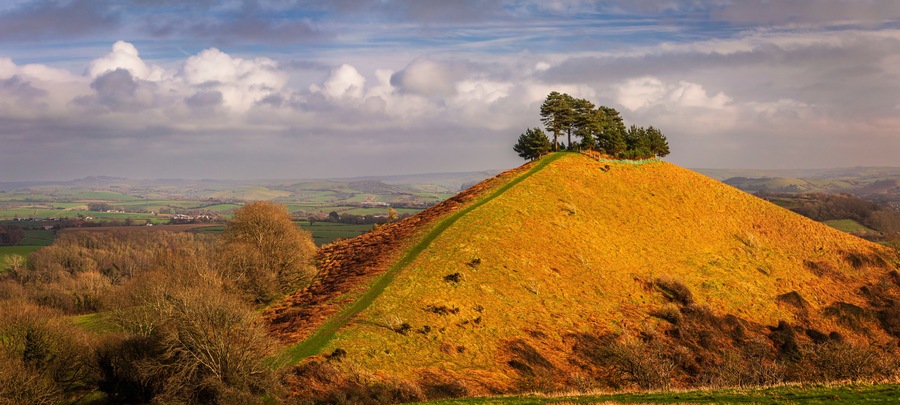The beautiful Colmers Hill in the west Dorset countryside south west England UK