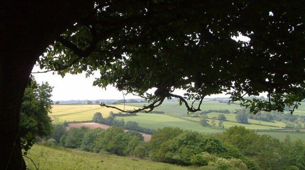 Slopes of Foxdon Hill From footpath CH5/63, looking across a steep field on the northwest slopes of the hill, across the line of a former rifle range. Across the valley, in ST3009 is a steep lane from Wadeford to the ridge-top A30.