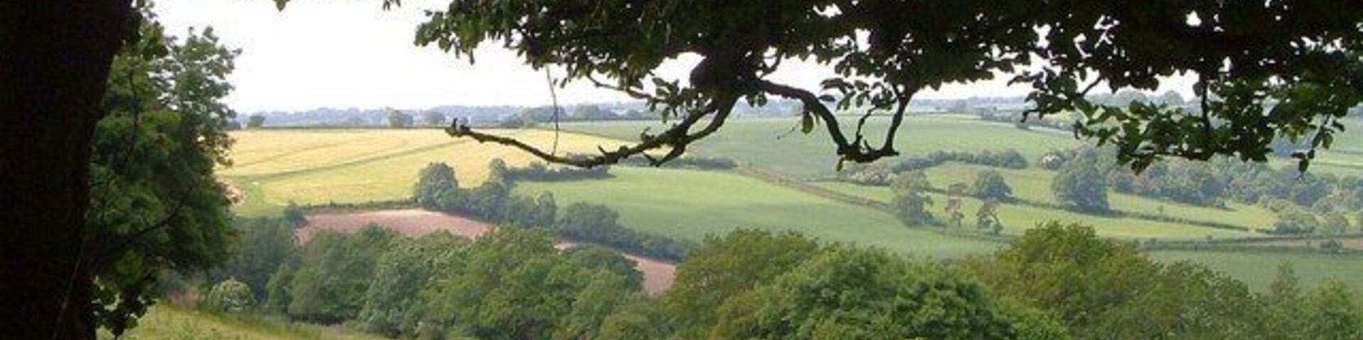 Slopes of Foxdon Hill From footpath CH5/63, looking across a steep field on the northwest slopes of the hill, across the line of a former rifle range. Across the valley, in ST3009 is a steep lane from Wadeford to the ridge-top A30.