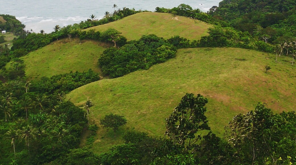 It's just life is soo beautiful...