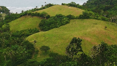 A coastal landscape with rolling hills, dense greenery, and a view of the ocean.