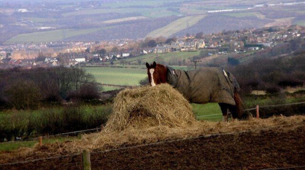 Eckington Village from Troway crossroads. This rural scene was taken from the Troway crossroads to the west of Marsh Lane.