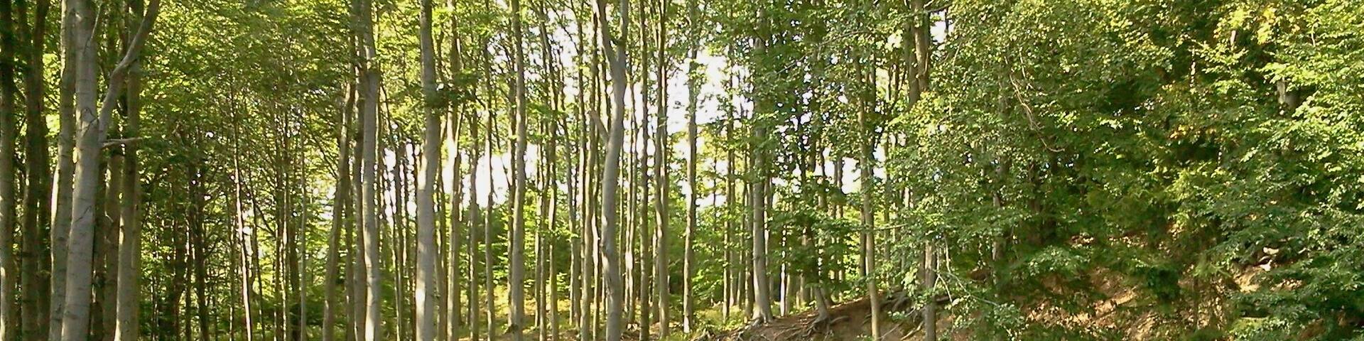 Hrob, Czech Republic