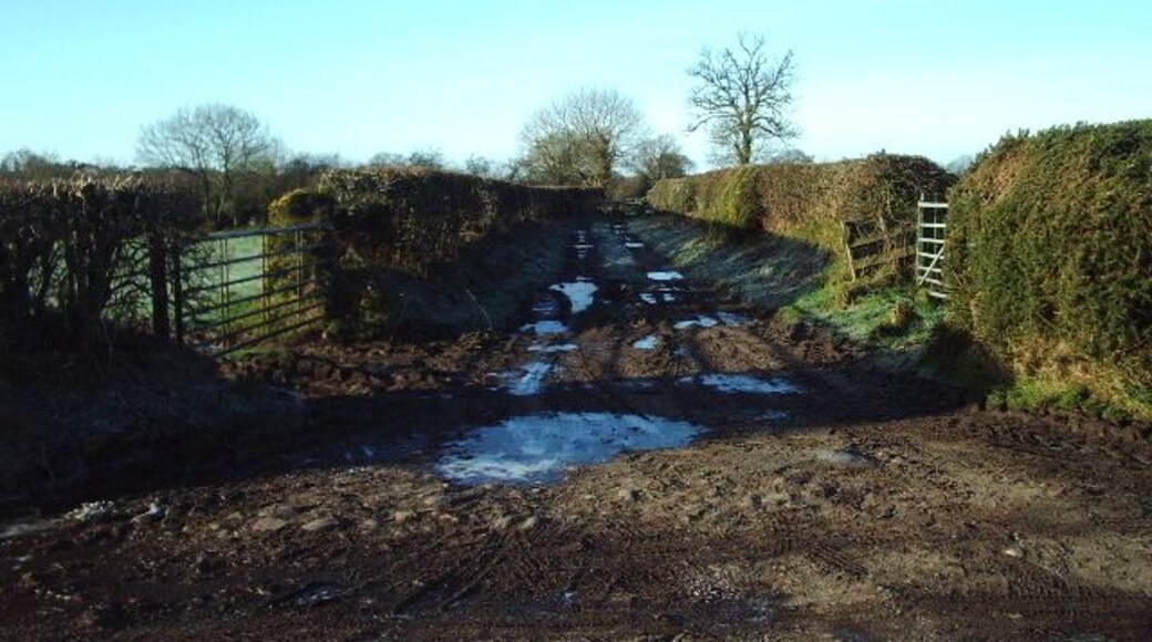 Muddy track