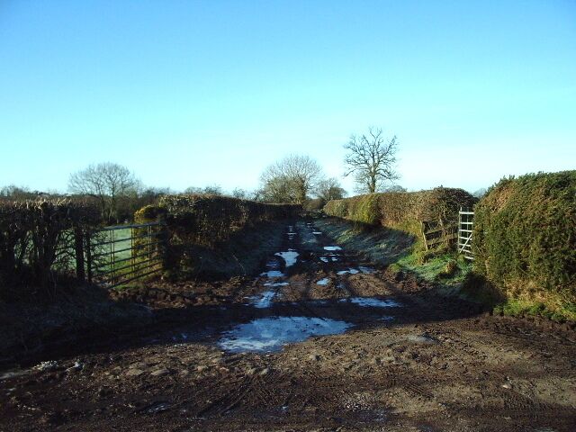 A rural road with a metal gate, a ladder, and a muddy path with puddles.