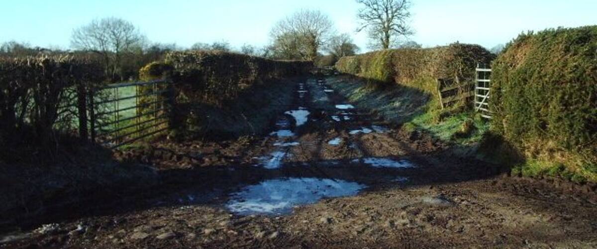 A rural road with a metal gate, a ladder, and a muddy path with puddles.
