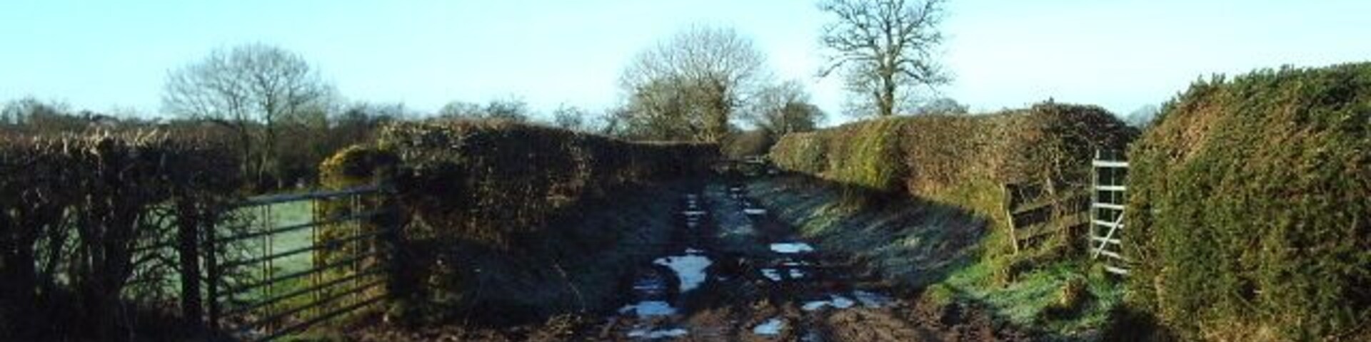 A rural road with a metal gate, a ladder, and a muddy path with puddles.