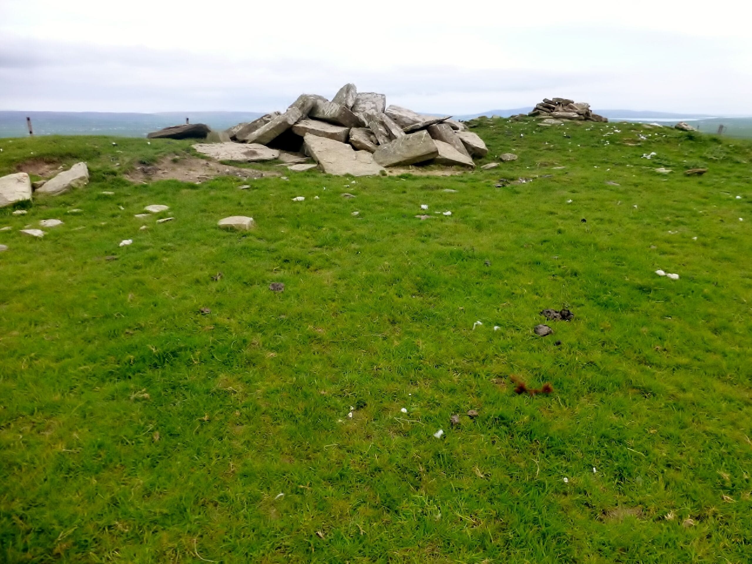 A grassy field with scattered rocks and a distant view of the sea.