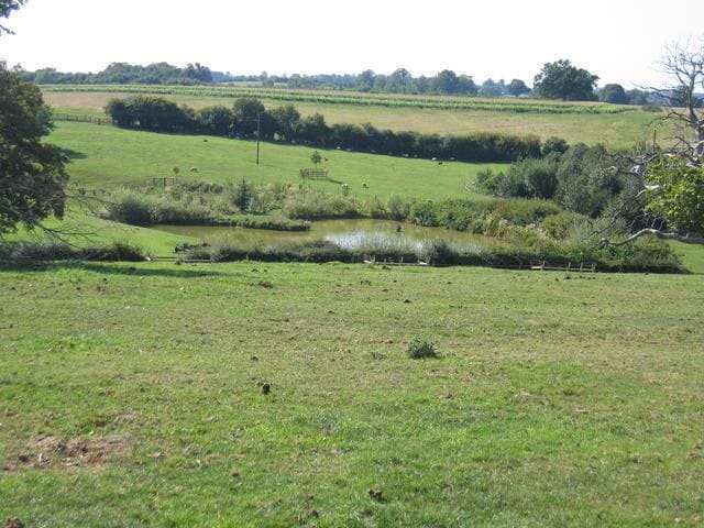 Grange Farm pond. Looking west from the footpath to Nether Worton.