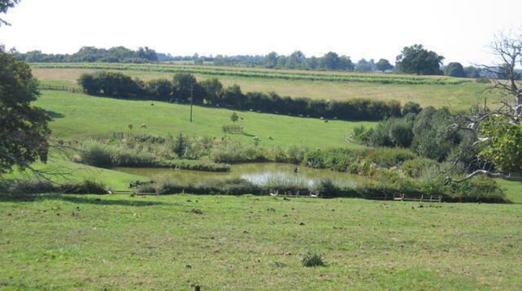 Grange Farm pond. Looking west from the footpath to Nether Worton.