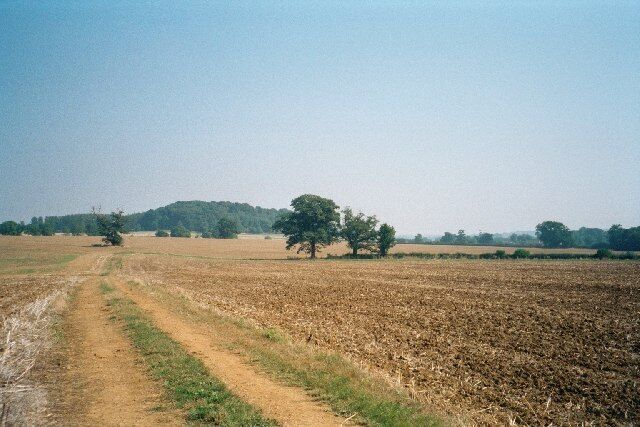 Fields in the Mid-West (Oxfordshire) Taken from the east end of Groveash Lane, in fields that take up the flat bottom of a valley near Great Tew. It recalls the wide open spaces of America or Australia, but it is West Oxfordshire.