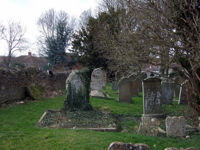 Churchyard, Raunds, with cat Churchyards are often oases of wildlife - hence their attraction for cats!