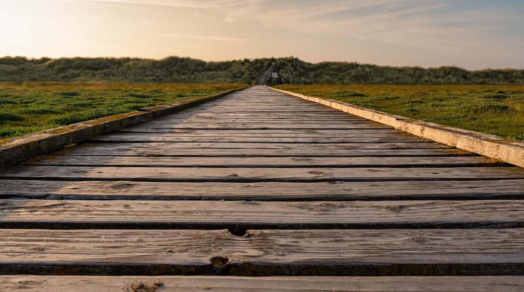 A wooden boardwalk extending into a grassy field with a hill in the distance.