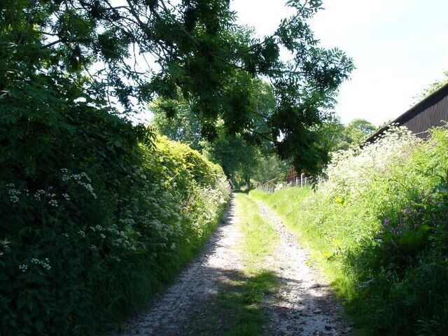 Gronant Lane. To the south of the village, a minor lane that leads over the hills.