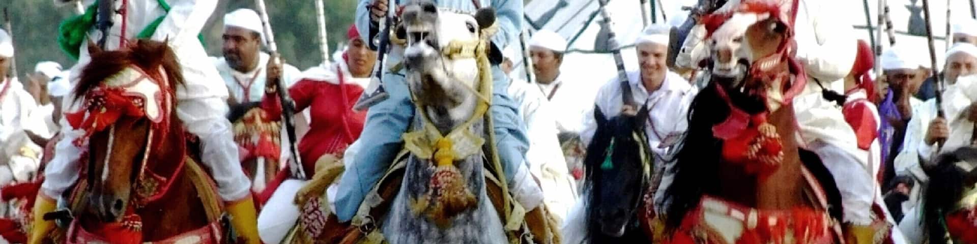 Moroccan horses In the festival in Ouazzane City