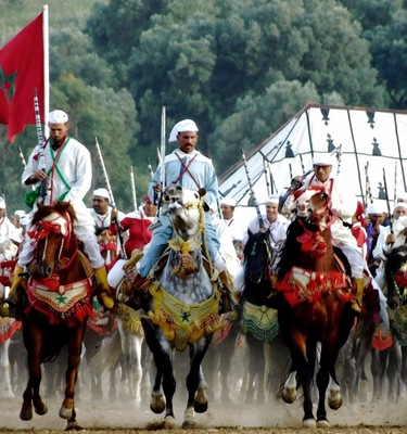 Moroccan horses In the festival in Ouazzane City