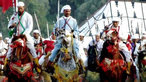 Moroccan horses In the festival in Ouazzane City