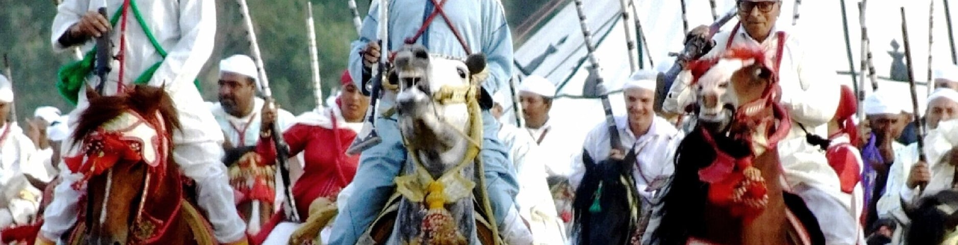 Moroccan horses In the festival in Ouazzane City