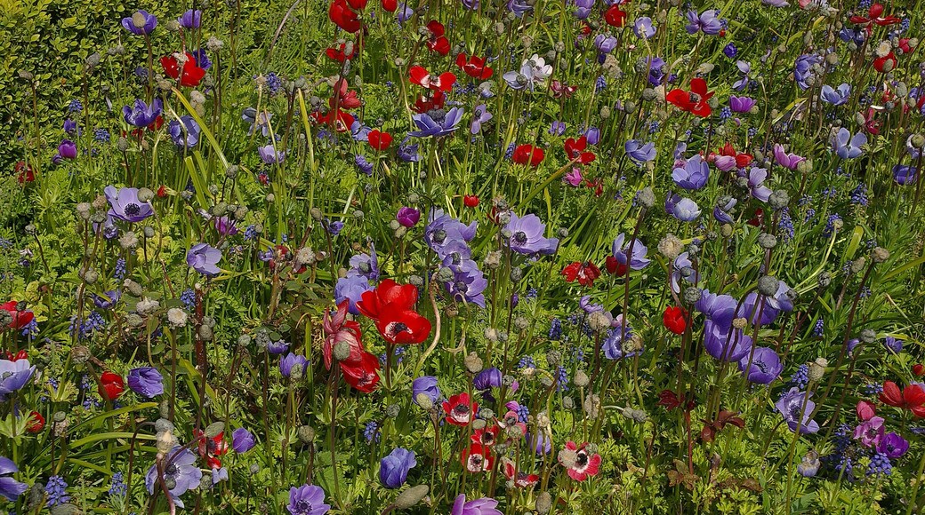 Highnam Court, Gloucester.