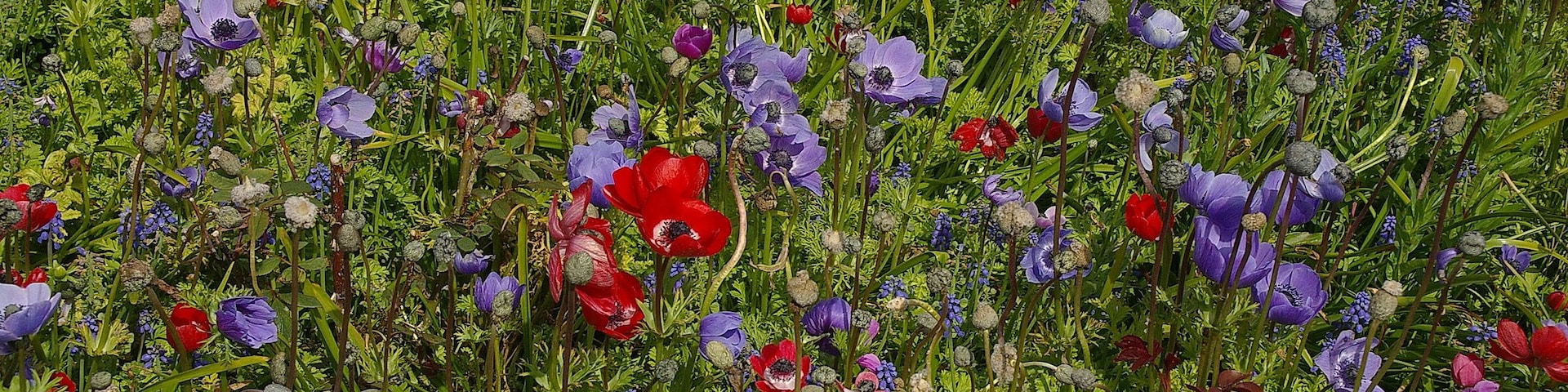 Highnam Court, Gloucester.