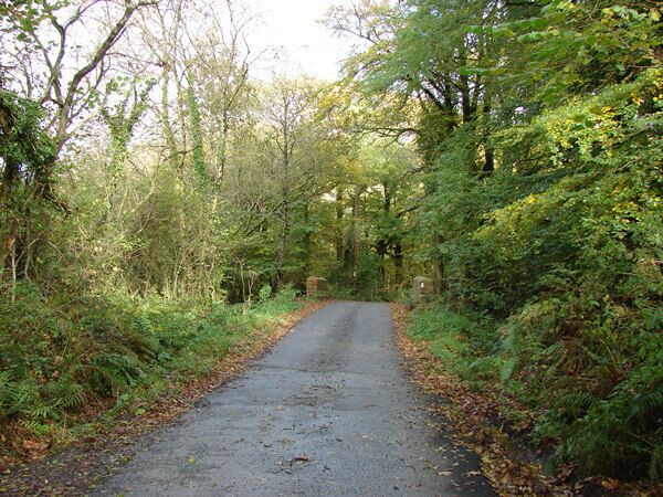 Small road bridge west of Cookbury Wick (1) Looking north-east