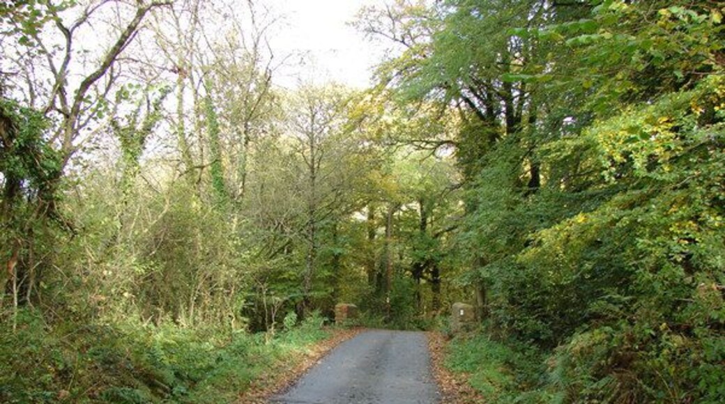 Small road bridge west of Cookbury Wick (1) Looking north-east