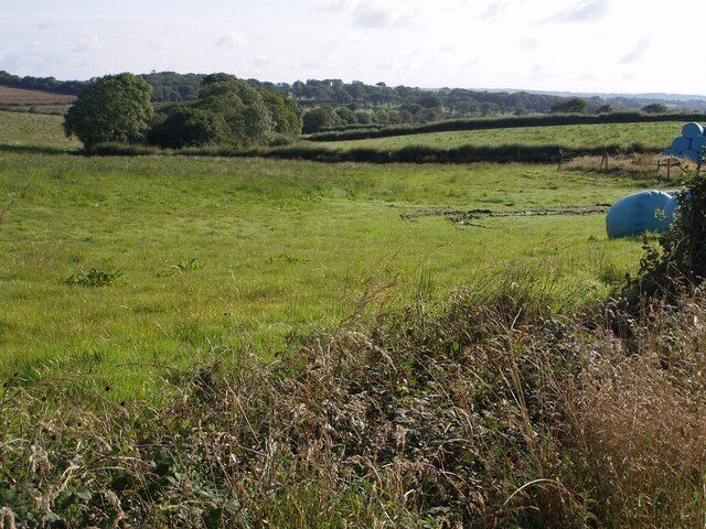 Field near Beaconsfield Cross The line of trees along the field boundary marks the line of a stream which rises at the nearest tree. Seen from the A3072.