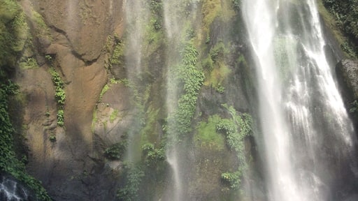 One of the majestic waterfalls in Laguna. Located in Luisiana,Laguna this is known as Hulugan Falls.