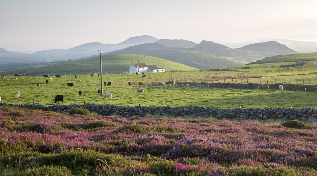 Mountains near Llithfaen, Pwllheli, Llyn Peninsula, Wales, UK, Shutterstock ID 723839311, Purchase Order: SP-1394 HA Batch 3 Part 1, Order Number: , Client/Licensee: HomeAway, Other: To be paid with H