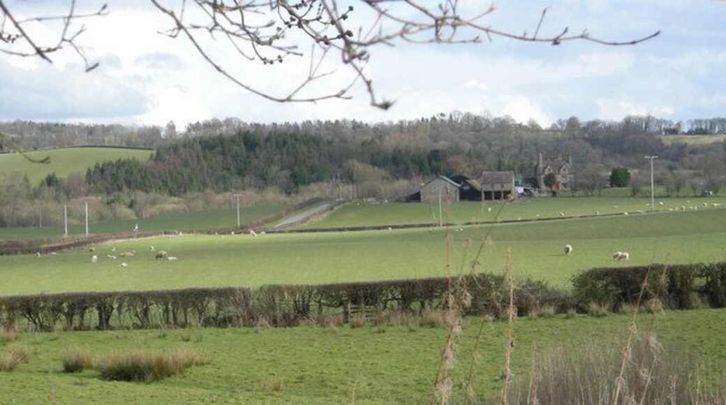 Across the fields to Evenwood