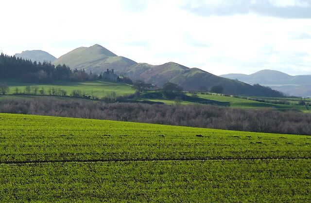 Cropfield and Hillside. near Acton Burnell, Shropshire