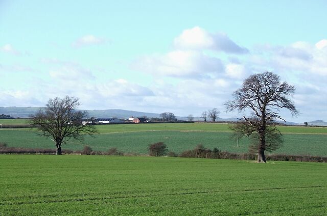 Farmland, Acton Burnell, Shropshire
