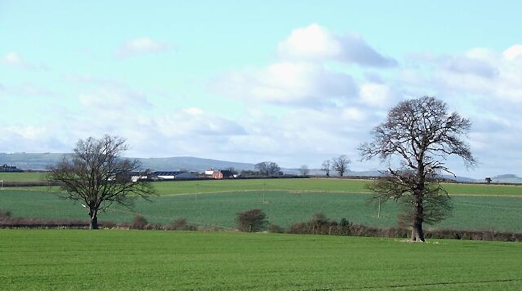 Farmland, Acton Burnell, Shropshire