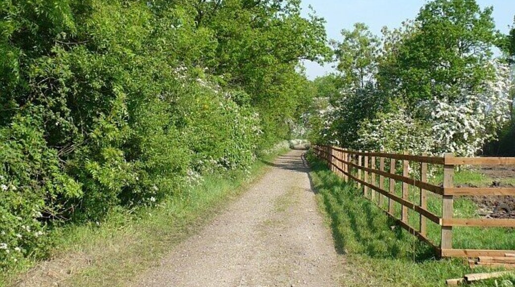 Carriage Drive, Wilstead. This permissive path was the rear drive from Wilstead to 829885.
