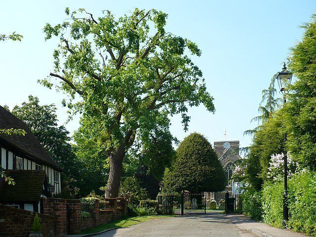 Approach to Wilstead Church