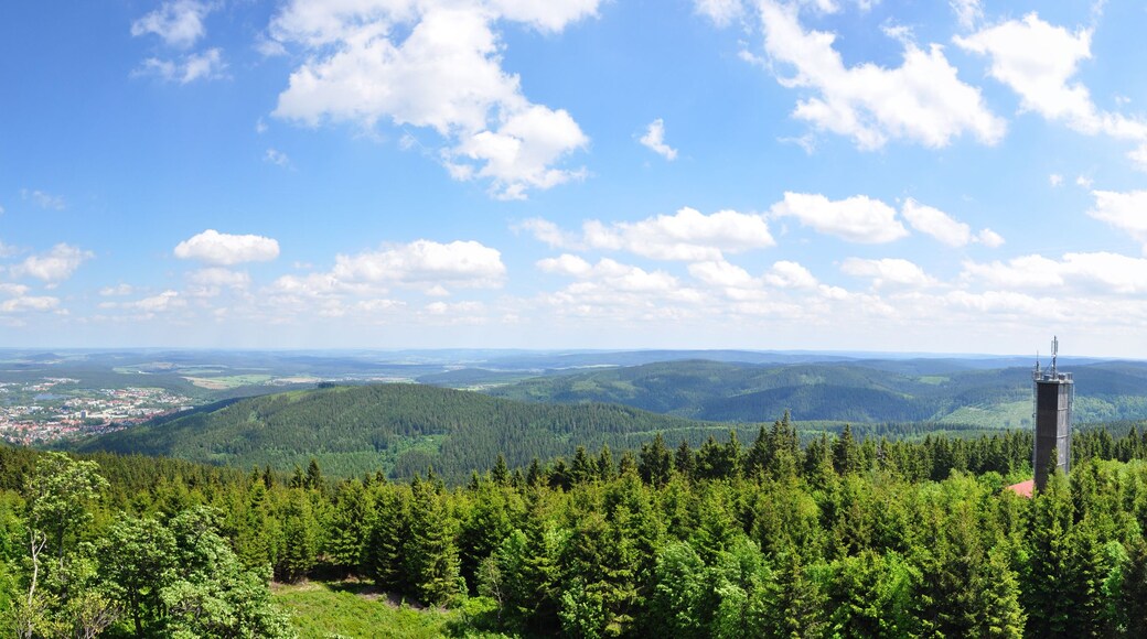 Een bergachtig landschap met dichte bossen, een heldere lucht en een stad in de verte.
